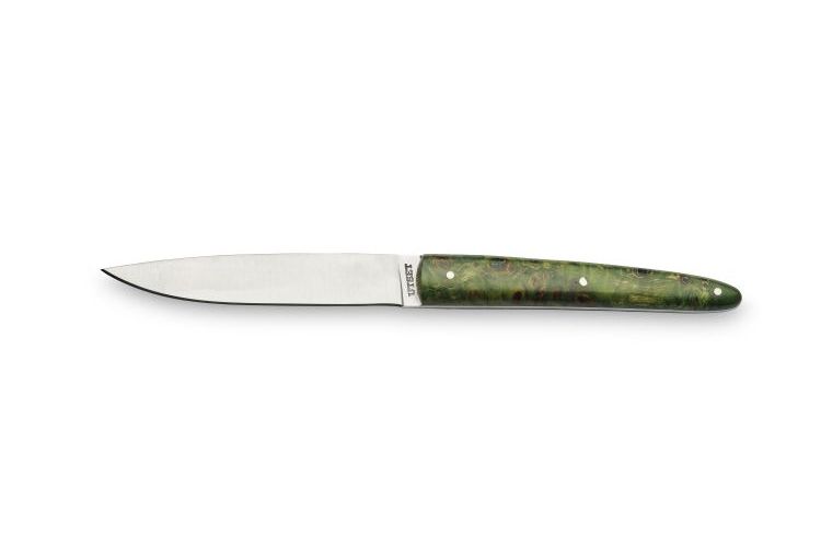 Steakmesser 225mm UTSET grün