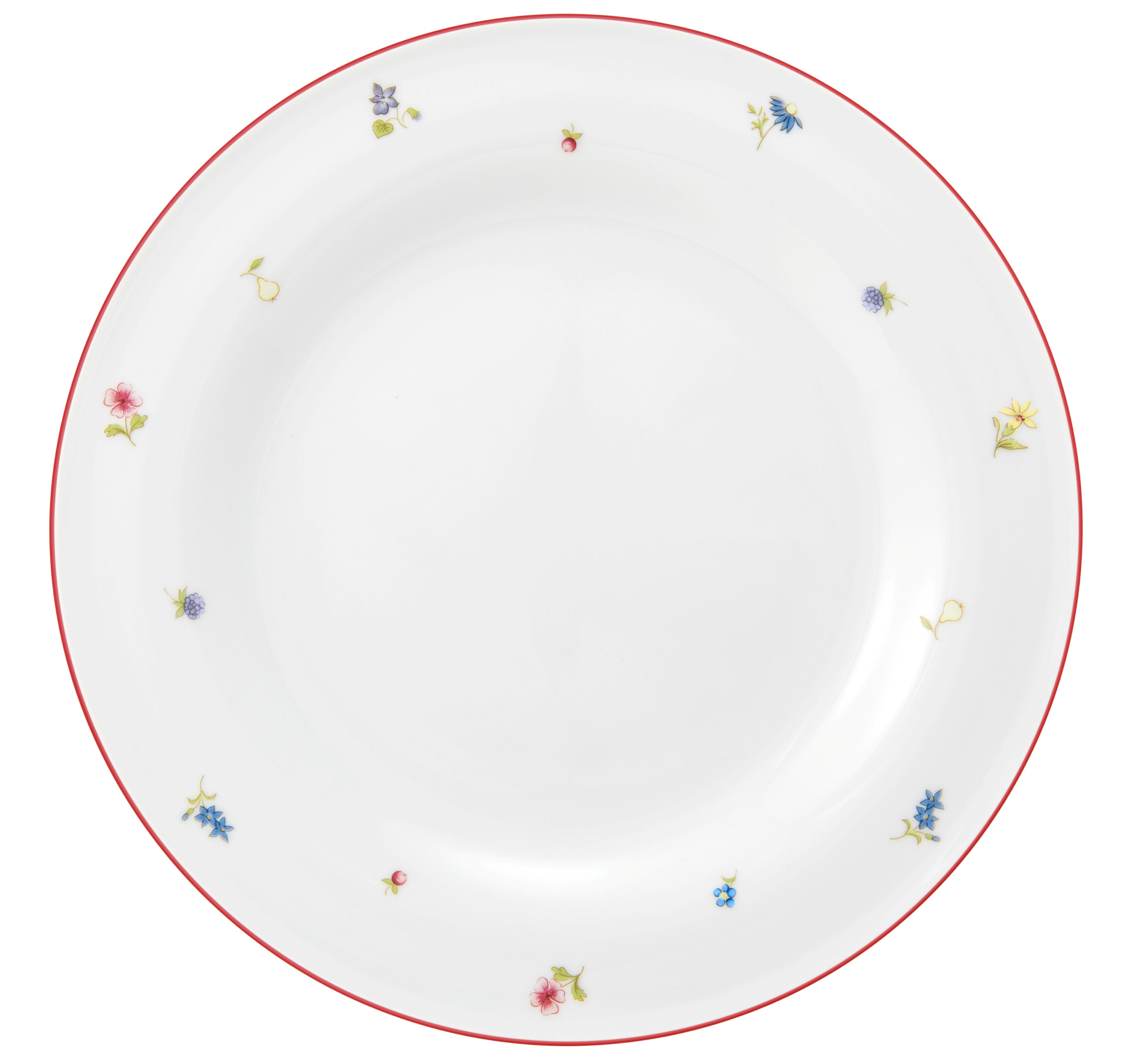 Teller rund flach 28cm COMMUNITY streublume rote linie