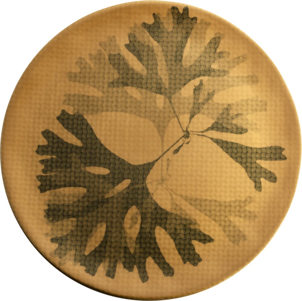 Teller flach 31cm CHEF`S PLATES mustard Teller flach 31cm CHEF`S PLATES mustard