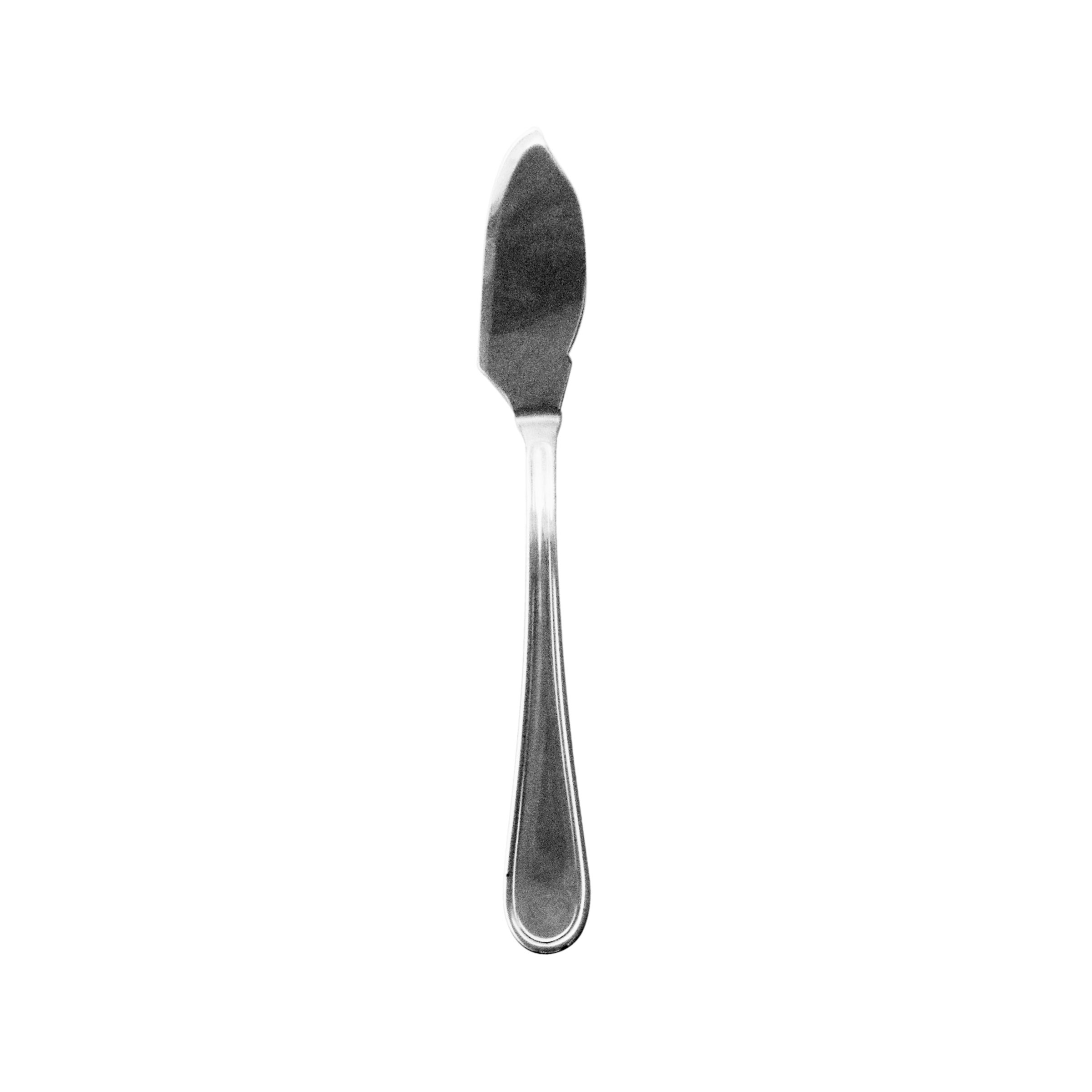 Fischmesser NORMA