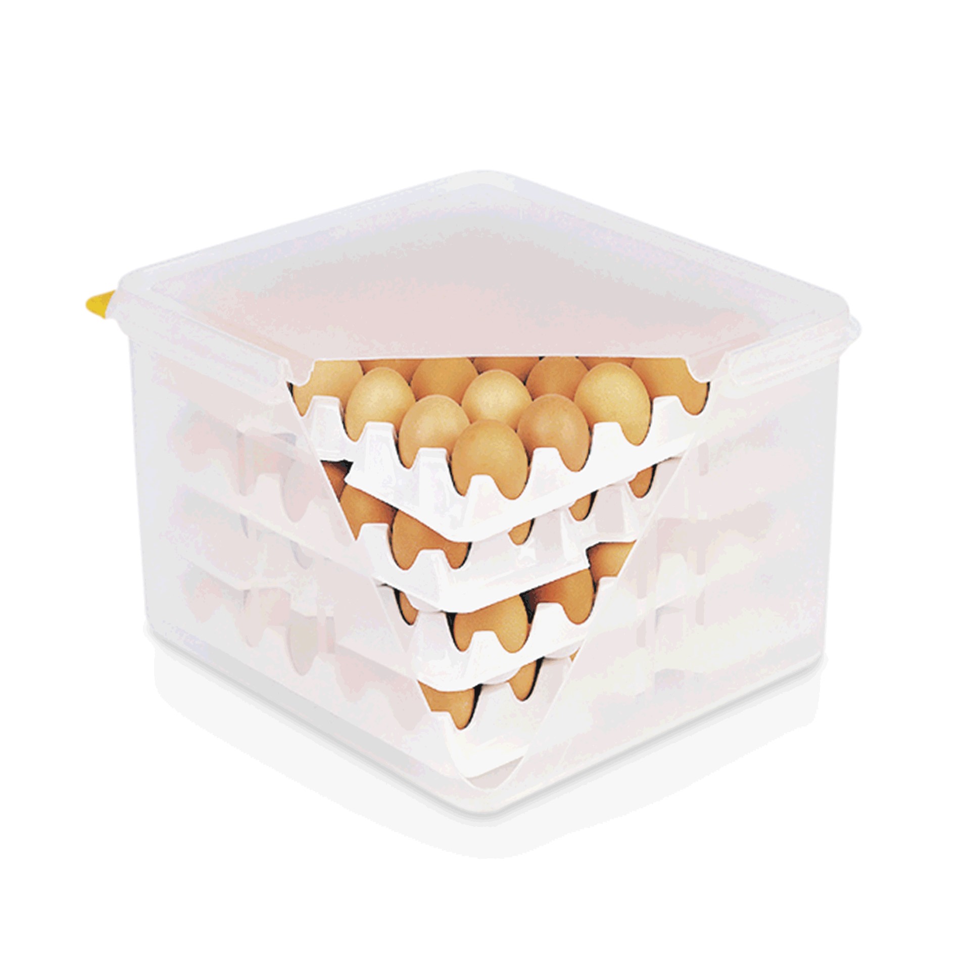 Eierbox : L: 35,4 cm B: 32,5 cm H: 20 cm, GN: 2/3