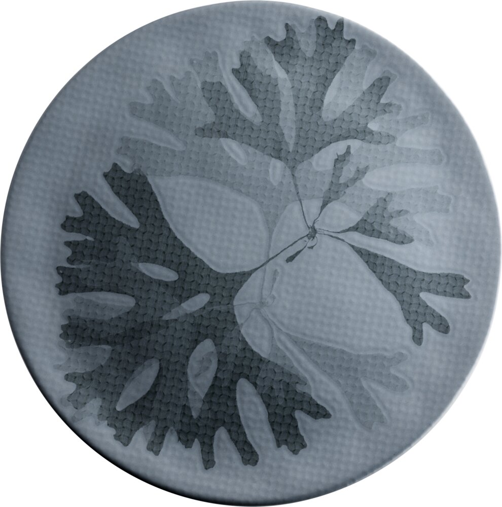 Teller flach 31cm CHEF`S PLATES blue Teller flach 31cm CHEF`S PLATES blue