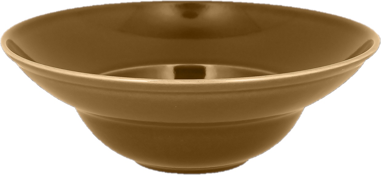 Teller extratief 22,7cm FUSION Chef´s Classic caramel