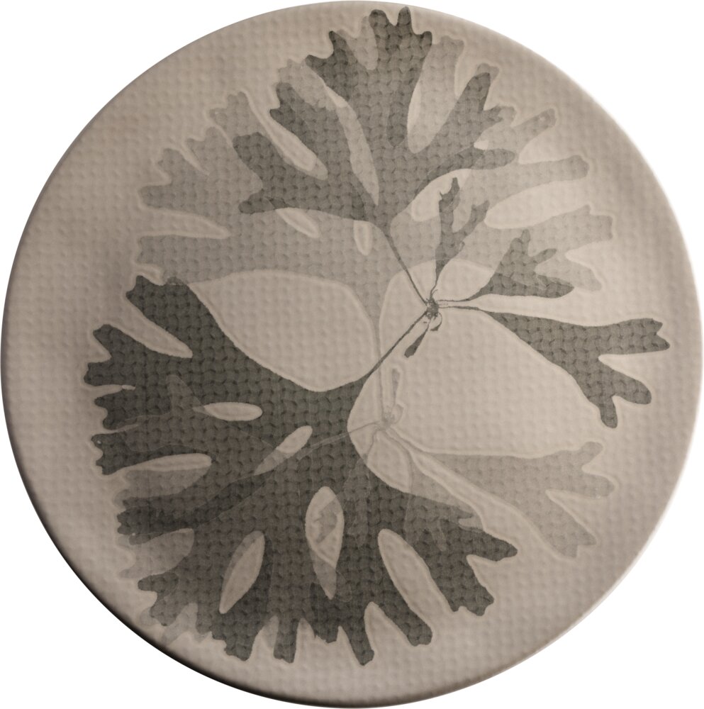 Teller flach 31cm CHEF`S PLATES taupe Teller flach 31cm CHEF`S PLATES taupe